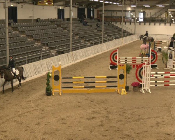 Reitturnier Verden 2025