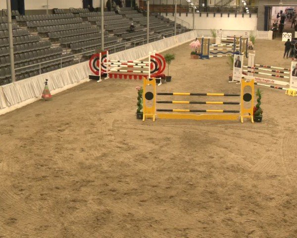 Reitturnier Verden 2025