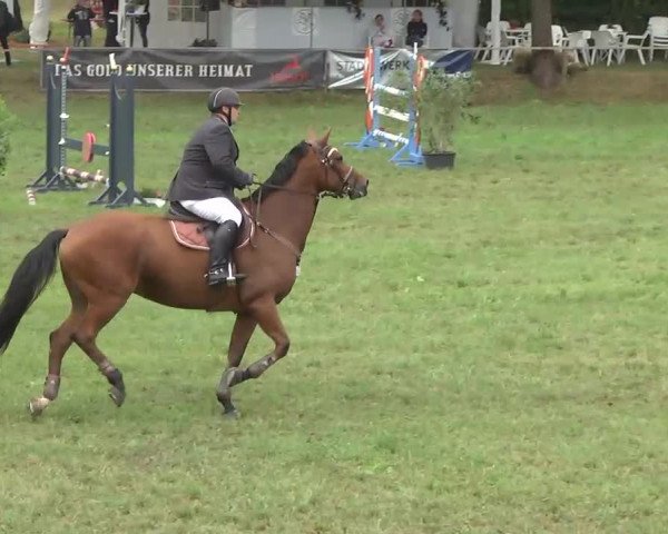 Radolfzell 2013 - Reit- und Springturnier des RC Bodenseereiter