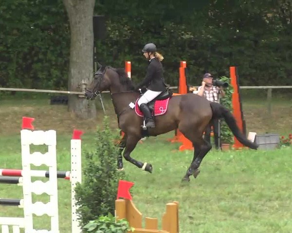 Radolfzell 2013 - Reit- und Springturnier des RC Bodenseereiter