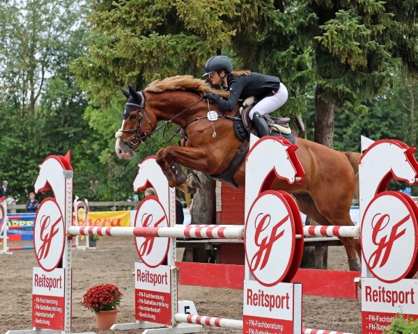 jumper Izmir 9 (Swedish Warmblood, 2013, from Sisley de La Tour Vidal)