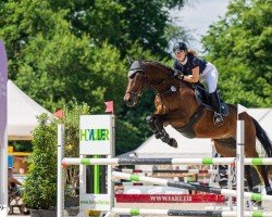 jumper Fer d'Alêne (Luxembourg horse, 2010, from Figaro de La Vie)