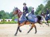 jumper Don Touch de Tiji Z (Zangersheide riding horse, 2016, from Don't Touch Tiji Hero)