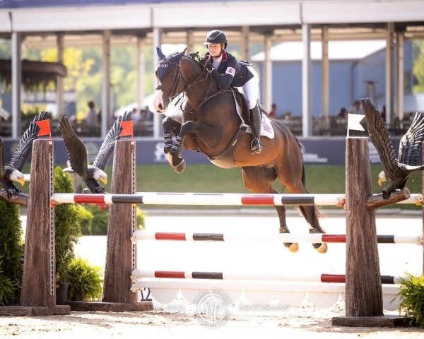 Springpferd L'Air Visto Meershoven Z (Zangersheide Reitpferd, 2015, von Levisto Z)