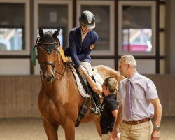 dressage horse Zicero (German Sport Horse, 2016, from Zansibar)