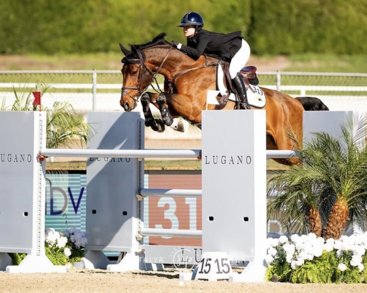 Springpferd Broereman van de Lentamel Z (Zangersheide Reitpferd, 2014, von Bentley van de Heffinck)
