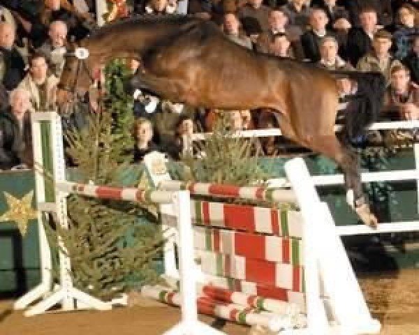 Deckhengst Clever and Smart (Westfale, 2006, von Cayetano L)