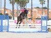 jumper Orinoco Flow 111 Z (Zangersheide riding horse, 2018, from Oscar Cg)