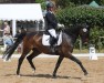 dressage horse Ramiro Pride (Rhinelander, 2015, from Rock Forever NRW)