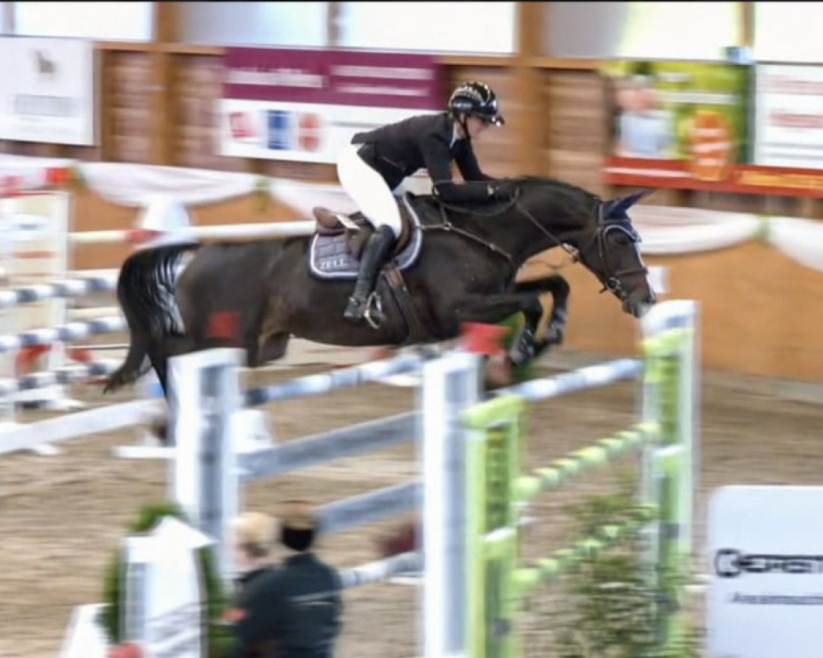 broodmare Betty Block R (Westphalian, 2015, from Blockbuster)