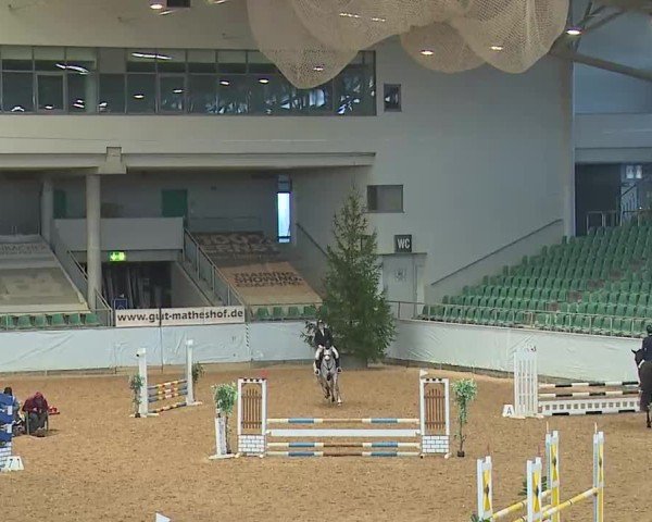 Reitturnier Kreuth/Opf. 2025