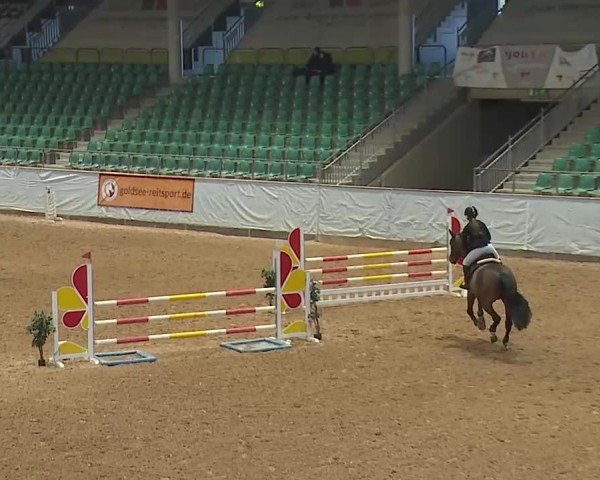 Reitturnier Kreuth/Opf. 2025