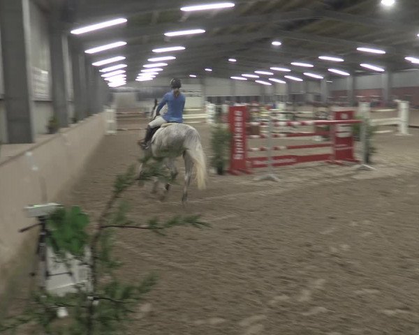 Reitturnier Ahaus 2021