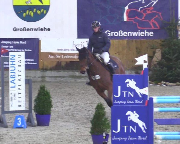 Reitturnier Großenwiehe - JTN 2025