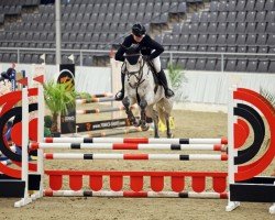 jumper Kasanovas Deern (German Sport Horse, 2019, from Kasanova de La Pomme)