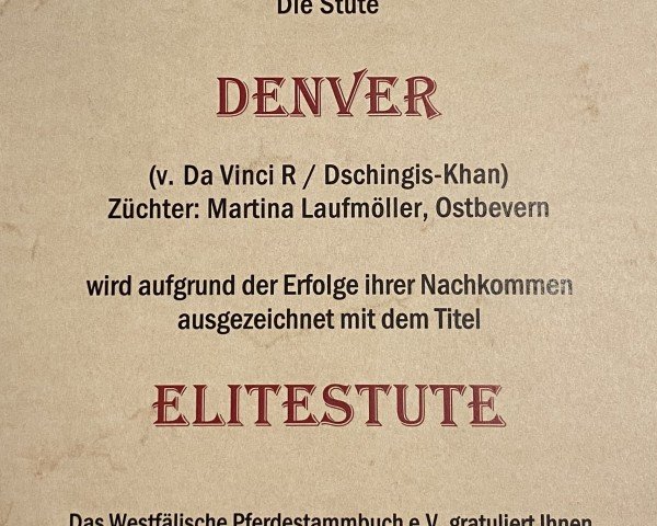 Zuchtstute Denver (Deutsches Reitpony, 2003, von Da Vinci R)