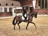 dressage horse Finley 115 (Westphalian, 2015, from Fürst Piccolo)