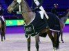 jumper Joppe (KWPN (Royal Dutch Sporthorse), 2014, from Canabis Z)