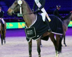 jumper Joppe (KWPN (Royal Dutch Sporthorse), 2014, from Canabis Z)