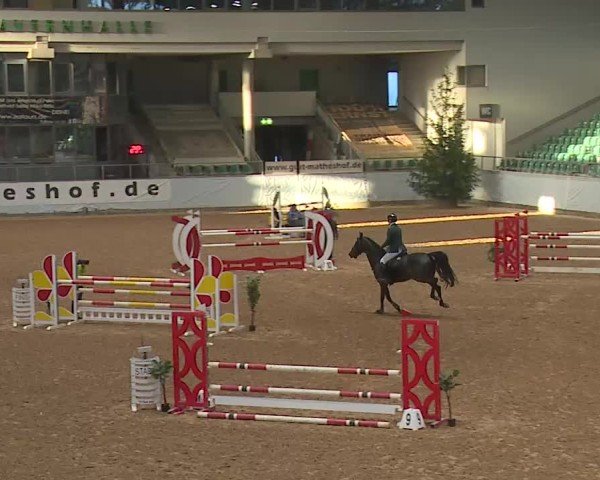 Reitturnier Kreuth/Opf. 2025