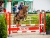 jumper Top Calina (Nederlands Rijpaarden en Pony, 2001, from Vitano)