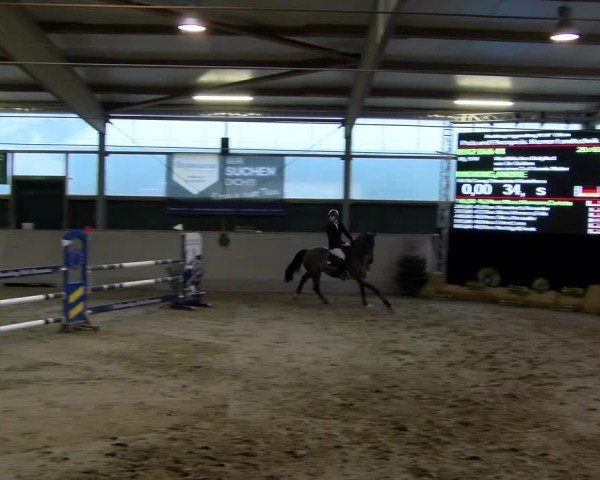 Reitturnier Velen 2025