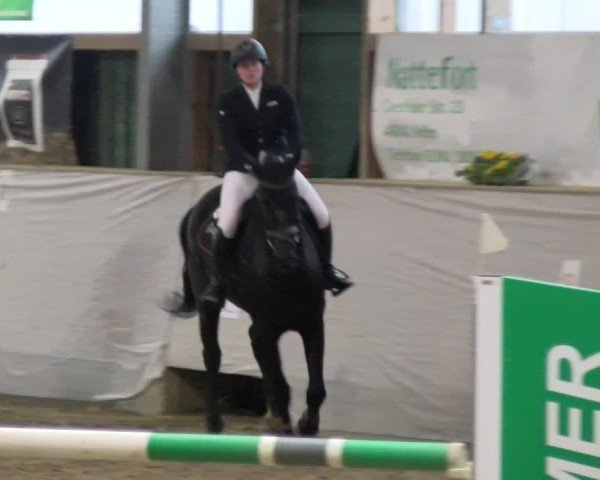 Reitturnier Velen 2025