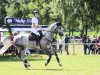 jumper Balino 10 (Hanoverian, 2013, from Bonaparte N AA)