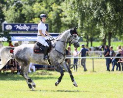 jumper Balino 10 (Hanoverian, 2013, from Bonaparte N AA)