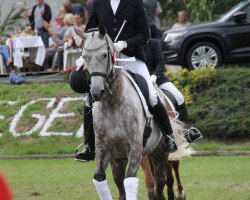 dressage horse Samba's Penelope (German Sport Horse, 2008, from Samba Hit I)