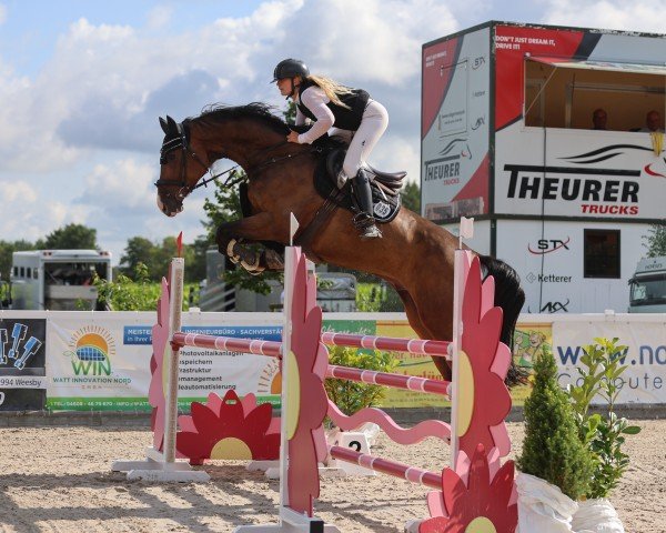 jumper Balou 880 (Holsteiner, 2016, from Constanzehof's Barcley)