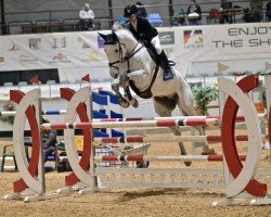 jumper Checker MT (German Sport Horse, 2017, from Cullinan du Borget B)