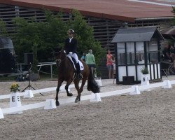 dressage horse Fürst Lauries H (Hanoverian, 2015, from Fürstenball)