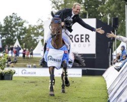 Springpferd Popeye de Tamise (Belgisches Warmblut, 2015, von Vigo d'Arsouilles)