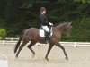 dressage horse Sammy Manapany (Hanoverian, 2015, from Spörcken)