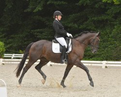 dressage horse Sammy Manapany (Hanoverian, 2015, from Spörcken)