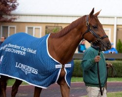 broodmare Blue Prize xx (Thoroughbred, 2013, from Pure Prize xx)