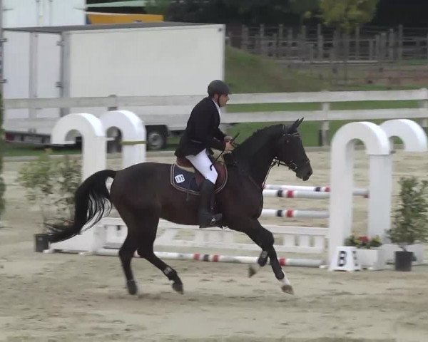 Springturnier Hubertushof RSG Linkenheim-Hochstetten 2013