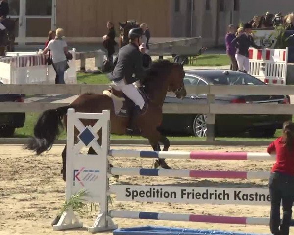 Springturnier Hubertushof RSG Linkenheim-Hochstetten 2013