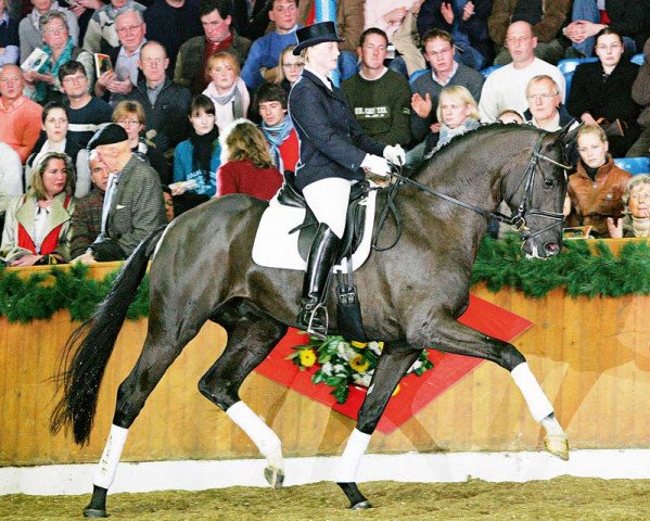 dressage horse San Amour I (Oldenburg, 2004, from Sandro Hit)