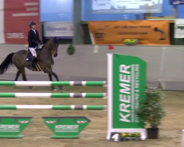 Reitturnier Velen 2025