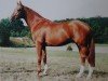 stallion Grafensteiner (Westphalian, 1991, from Granikos)