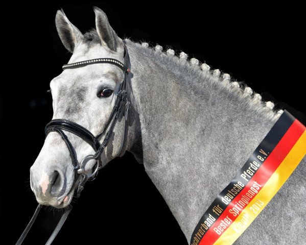 stallion Coupex (Bavarian, 2011, from Coupe de Coeur 2)