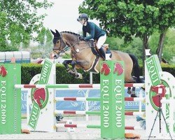 jumper Sancentina (Oldenburg show jumper, 2009, from Sanvaro)