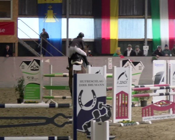 Reitturnier Velen 2025