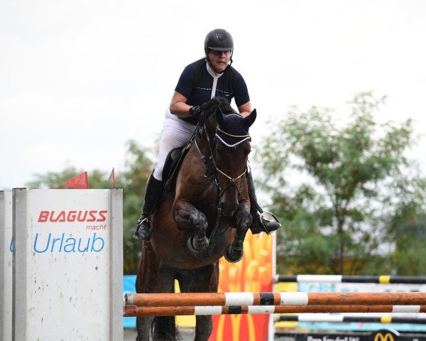 jumper Miss Pipi (Austrian Warmblood, 2018, from Giuliano Gustavo)