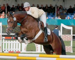 stallion Uccello (KWPN (Royal Dutch Sporthorse), 2001, from Now Or Never M)