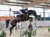 jumper Ed on Flight (Oldenburg show jumper, 2019, from Eldorado vd Zeshoek Tn)