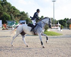 jumper Caesar B 4 (Hanoverian, 2016, from Calido I)