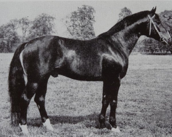 Deckhengst Sekurit 3391 (Mecklenburger, 1974, von Sekt 3316)